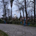 فضای سبز