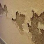 داود سلمانی ارمود اقاجی