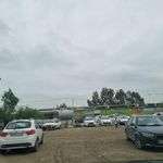 بازارچه ساحلی بندرترکمن
