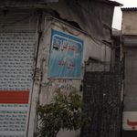 کفشدوزک