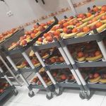 تالار قصر