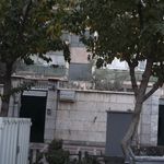 دکتر عباس هنر دوست