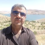 وکیل پایه یک دادگستری چوگانی