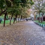 بوستان حجاب هدایت