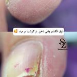 خدمات تخصصی ناخن سودابه ضربی