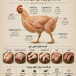 فروشگاه مرغ گوشت ماهی مسکن مهر