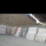 مرتضی اصغری