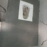 موسی الرضا نجفی