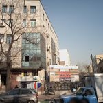 دکتر فریبا نبوی طباطبایی