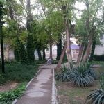 بوستان میخک