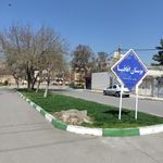 بوستان میخک