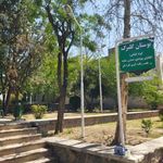 سرویس بهداشتی بوستان گلبرگ