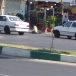 طباخی لوکس البرز