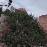 مجتمع مسکونی ویستا