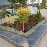 خدمات باغبانی هرس کاری گلکاری سمپاشی