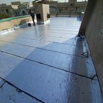 میلاد پناهی شایق