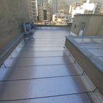 میلاد پناهی شایق