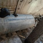 سعید رحیمی زاده