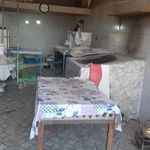نان محلی کلوا تنوری
