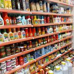 دهکده پروتئین دلین