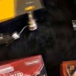 مرکزتخصصی خدمات خودرو(تاپ تیم تیونیگ)