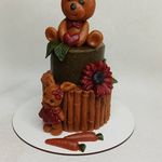 آموزشگاه باران کیک