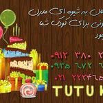 برگزاری جشن  تولد توتو