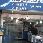 نمایندگی مرغ سهند