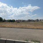 پارک دادگستری