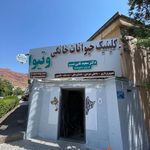 کلینیک حیوانات خانگی مهر