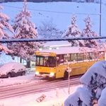 ایستگاه اتوبوس نخل 21