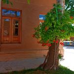 بیت قدیمی امام خمینی  ره 