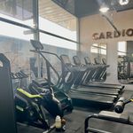 مجموعه ورزشي رزمیار (بانوان و آقایان)