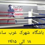 کلاب بوکس شاهین