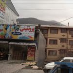 فروش مرغ زنده کشتار روز پر طلا