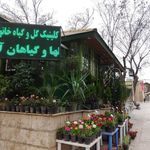 کیلینیک گل وگیاه خانواده