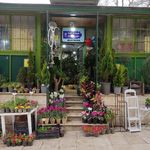 کیلینیک گل وگیاه خانواده