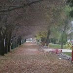 پارک رضوان