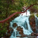 تنگ بستانک (بهشت گمگردیده)