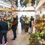 گل فروشی فلوآرت