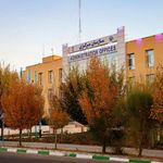 سازمان مرکزی