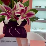 اپتومتریست و بینایی سنجی سیمین