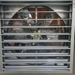 تولید و صادرات تجهیزات مرغداری چیکن تک