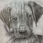 آموزش نقاشی کودکان