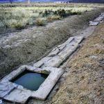 مجموعه پاسارگاد