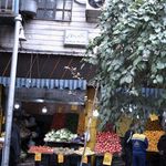 دکتر مهدی ضرابی