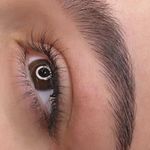 میکروبلید شیدینگ کانتور چشم