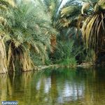 آبگرم دیگ رستم