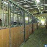 باشگاه سوارکاری شکوری