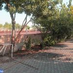 باشگاه سوارکاری شکوری